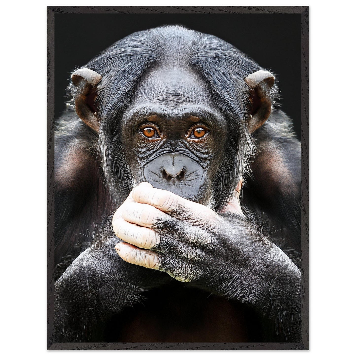 7535eecf-e13f-4bfe-a829-08254b6fee83