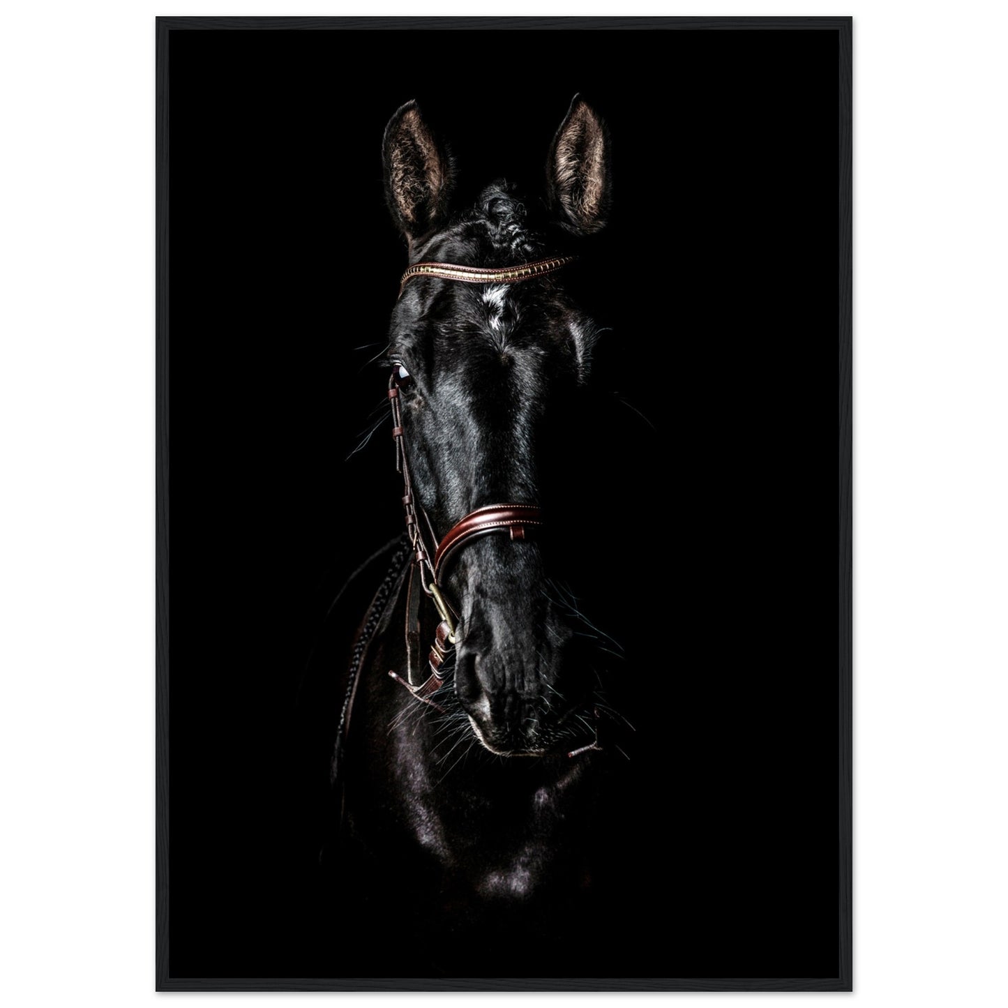 b5525030-407a-463b-abab-5cd900038db6