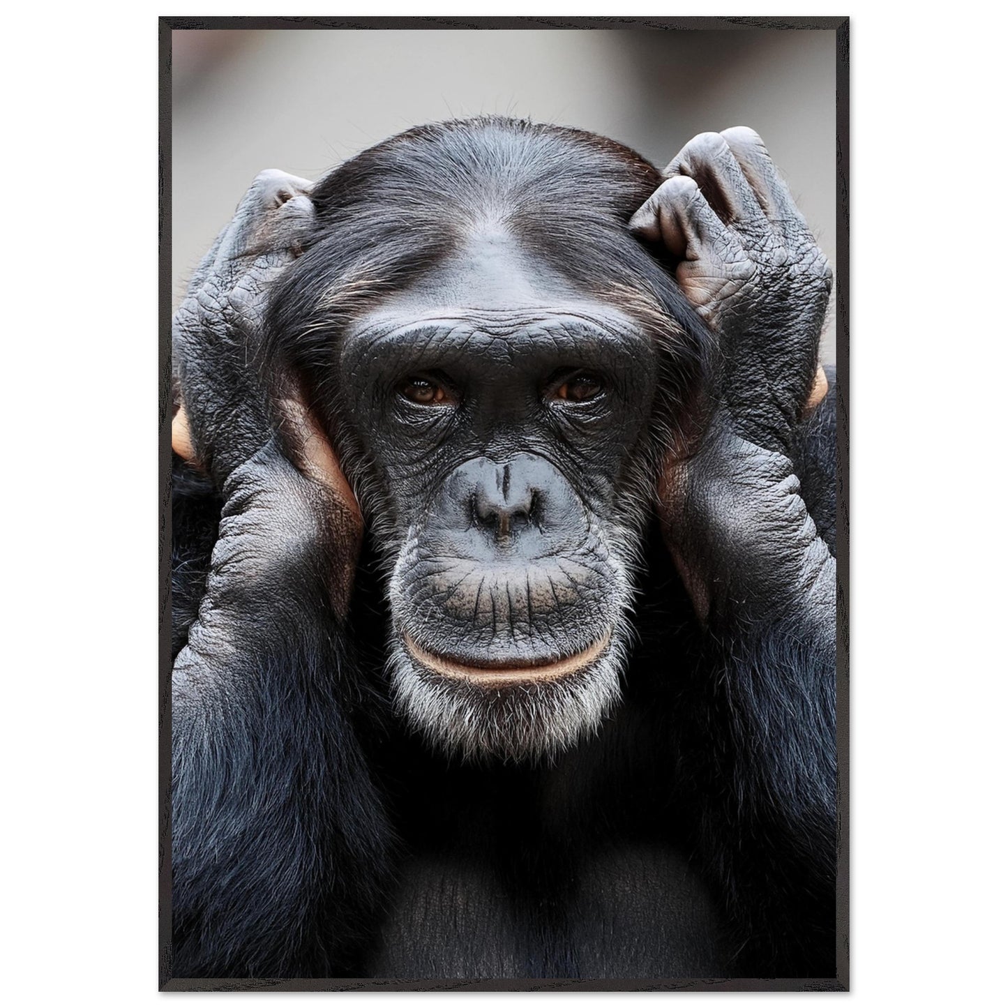 be4fb595-f127-486e-9eae-0726e15ba516