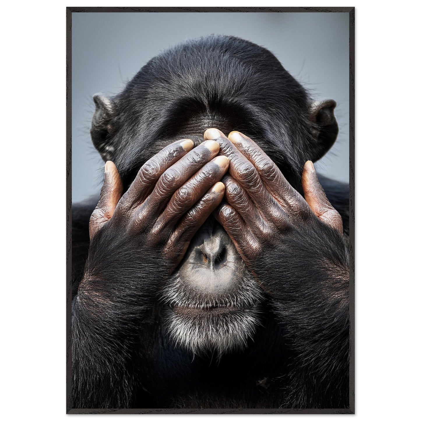 d3dc8b6f-35c5-4085-a75a-a79649dec4b7