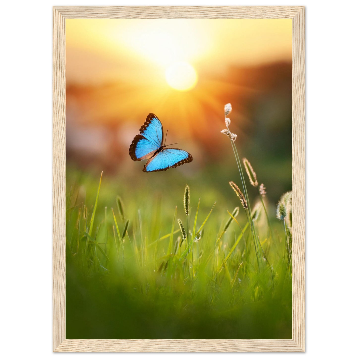 0d41cafa-380f-4069-81e0-944482f42102