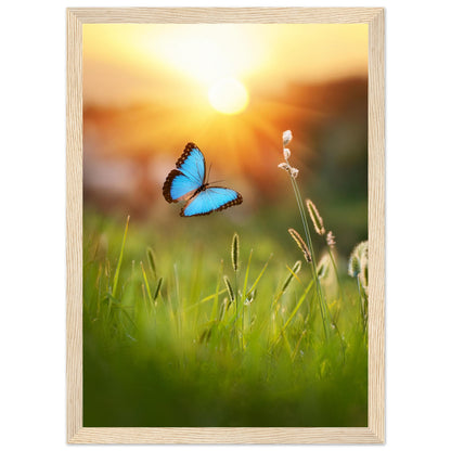 0d41cafa-380f-4069-81e0-944482f42102