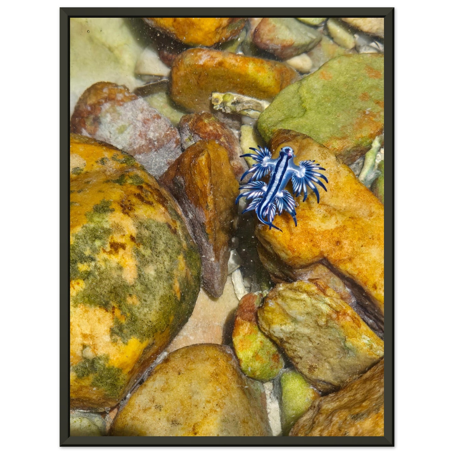 11b5a22b-c068-42a0-b802-83181a4e478e