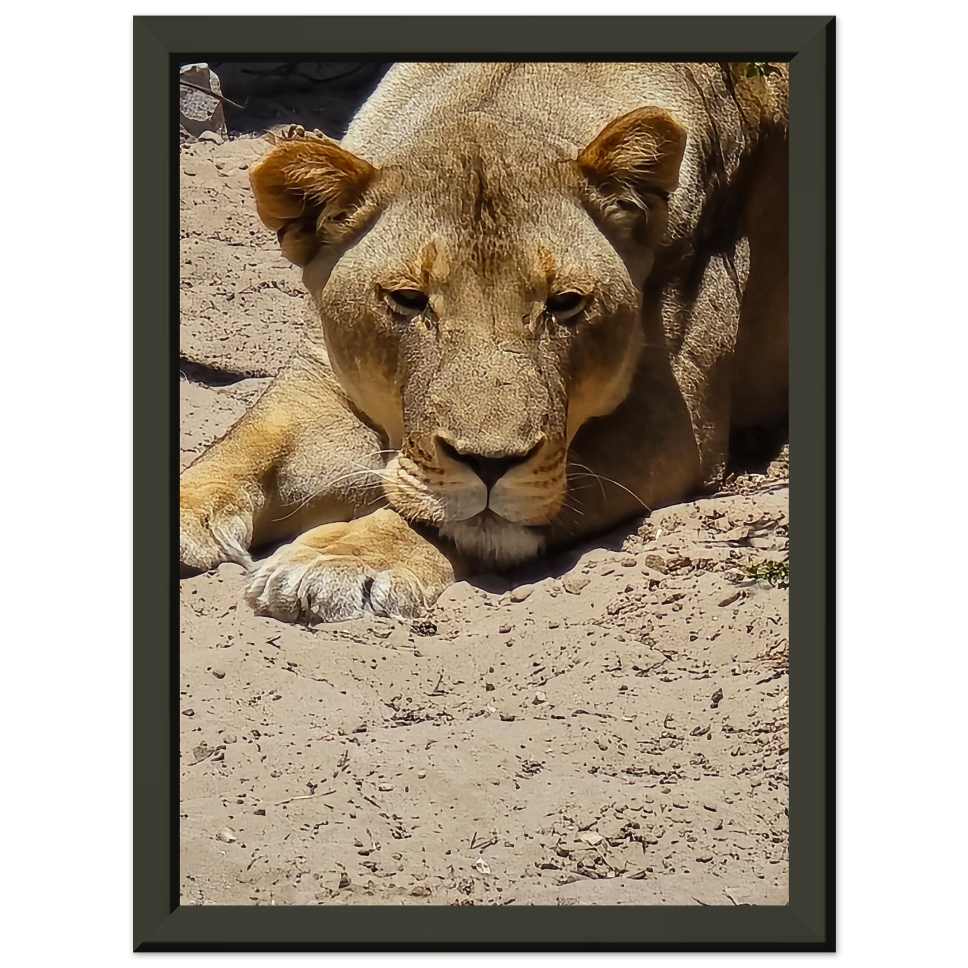 13b4d526-6740-43bb-b315-488e9fd49d72