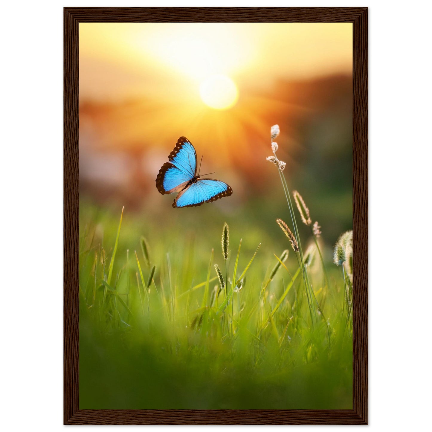 15ffea9a-3d82-4561-8f1c-840b7fba1106