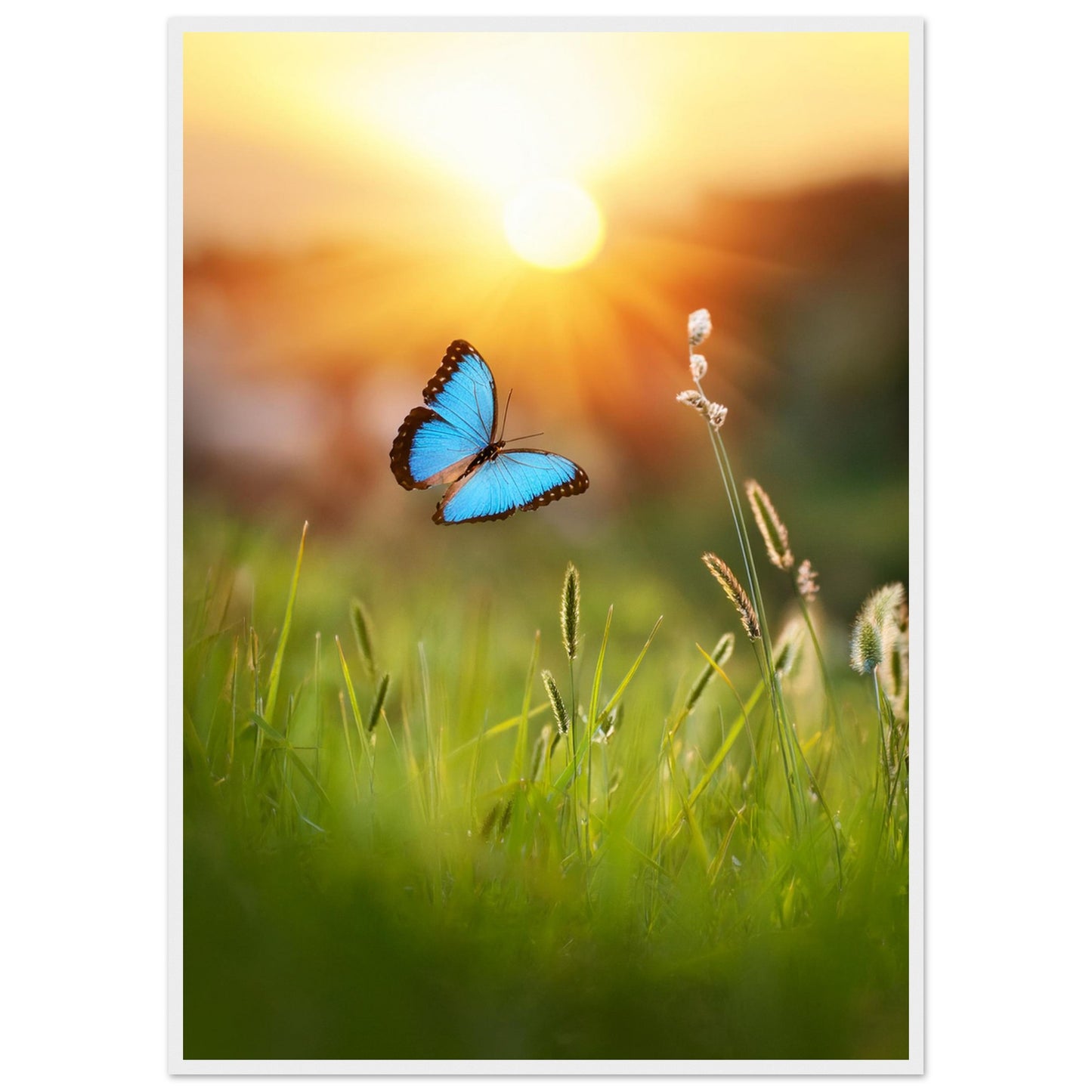 1a1934e4-d45e-4696-af78-ee03b7384e91