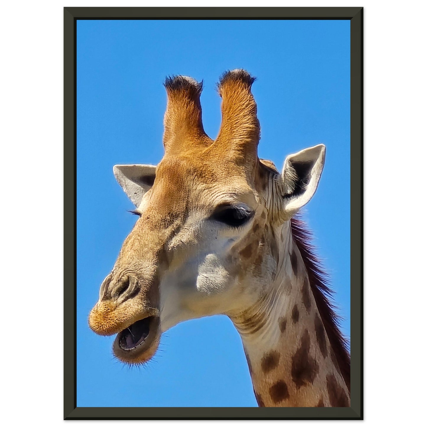 30240aa1-5d6e-48c0-ad7a-bd11352fcbca