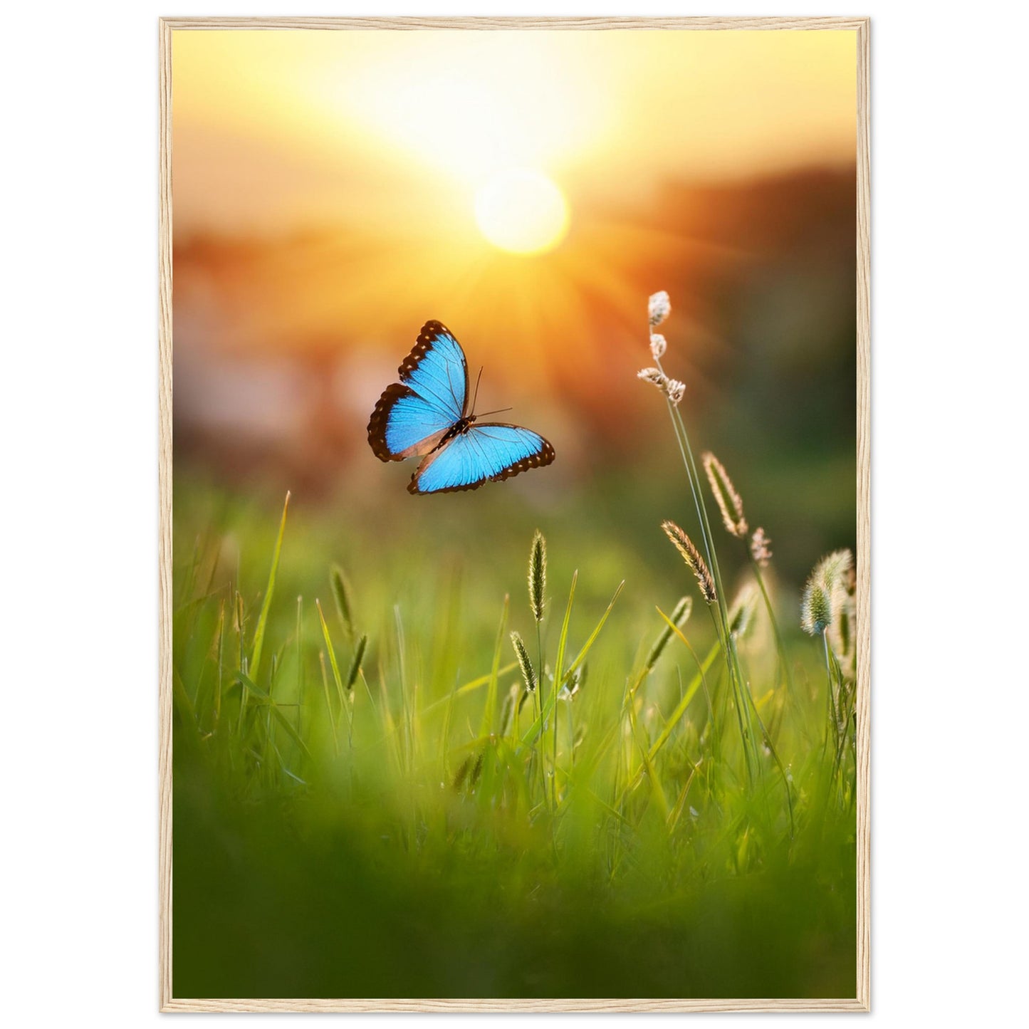 3ead0551-6902-409f-8031-be7101e39c5e