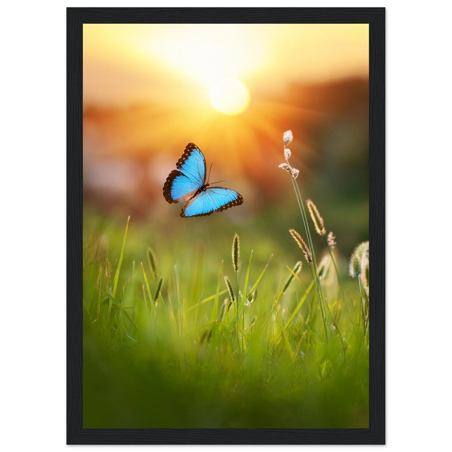 43caecb4-02e0-4777-9e0c-57e82d3064f5