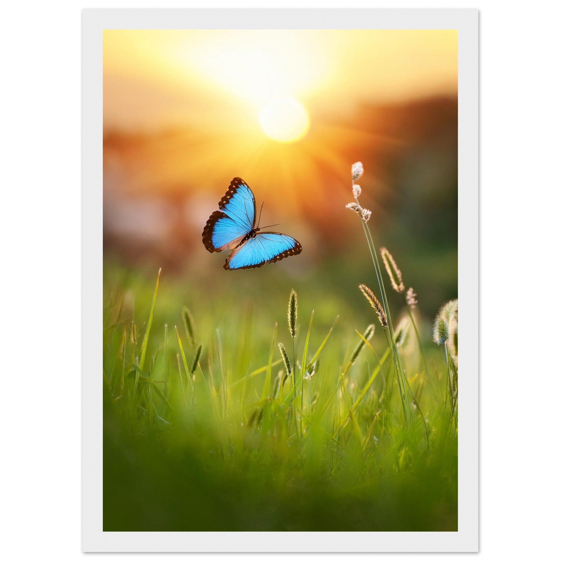 68c8886d-1ef2-459a-98ca-48bdc573db6e