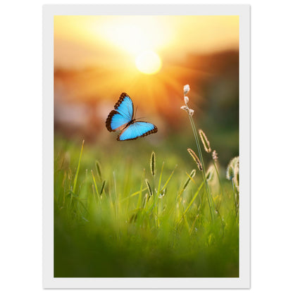 68c8886d-1ef2-459a-98ca-48bdc573db6e