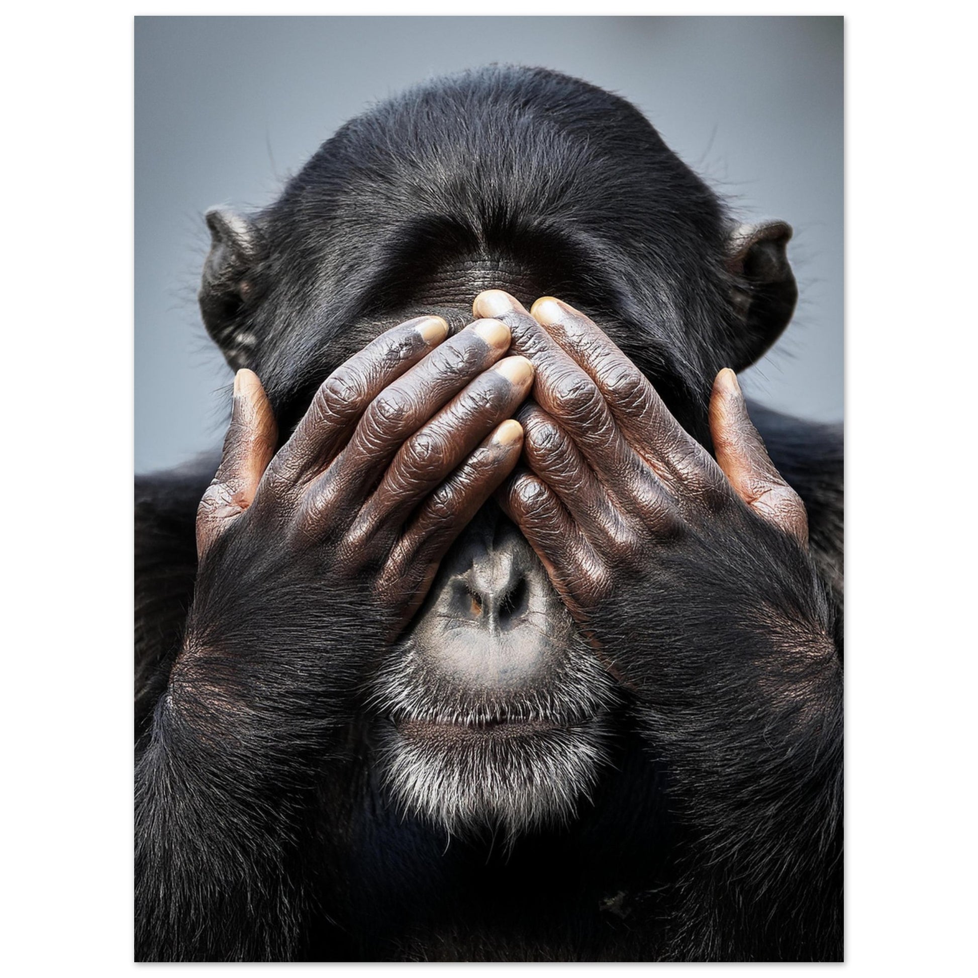 7067708b-9b2a-4b1e-ab9c-c7752a52bd69