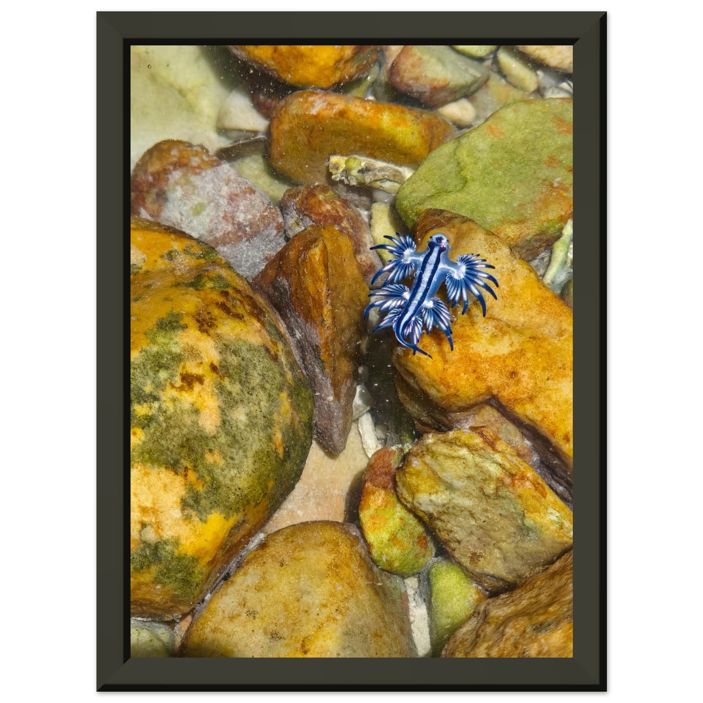 7a16b793-85b3-4667-8cc0-6432c4d4d66c