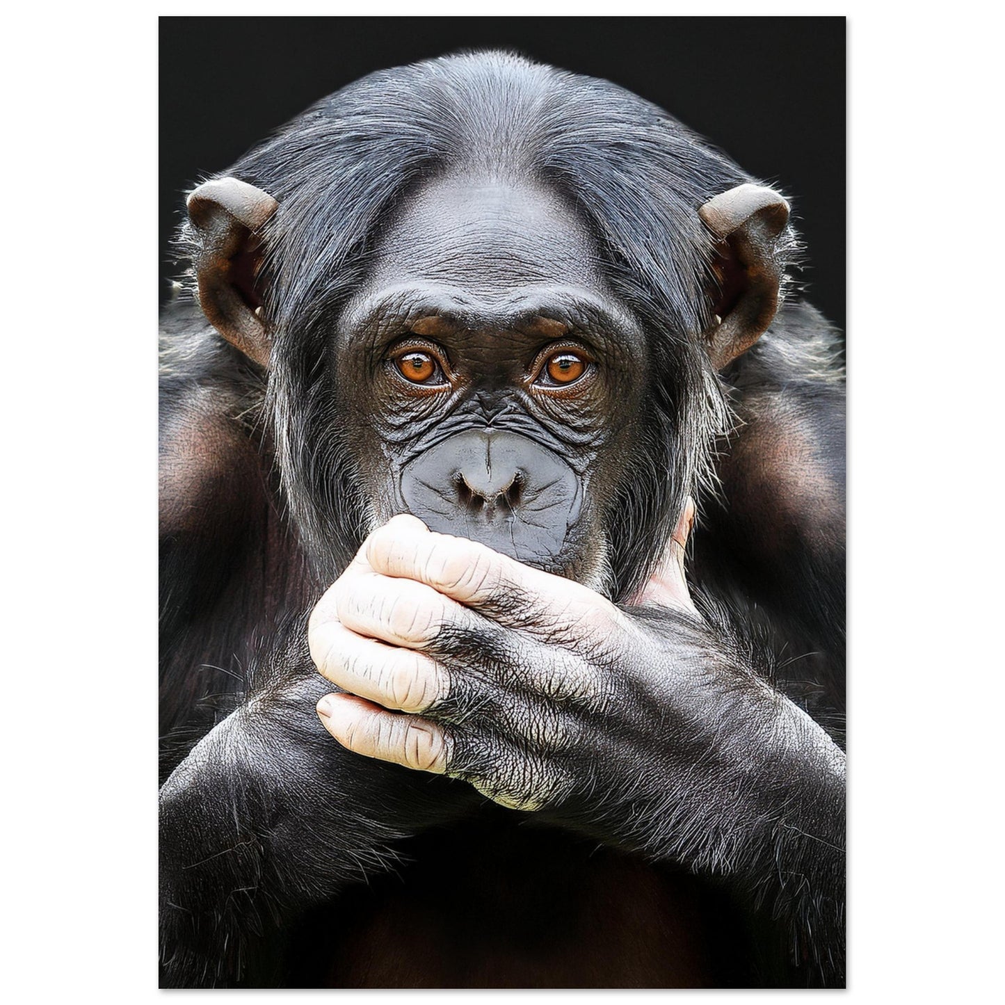 7f9581c7-0d43-44a2-b87b-34c73909acd9