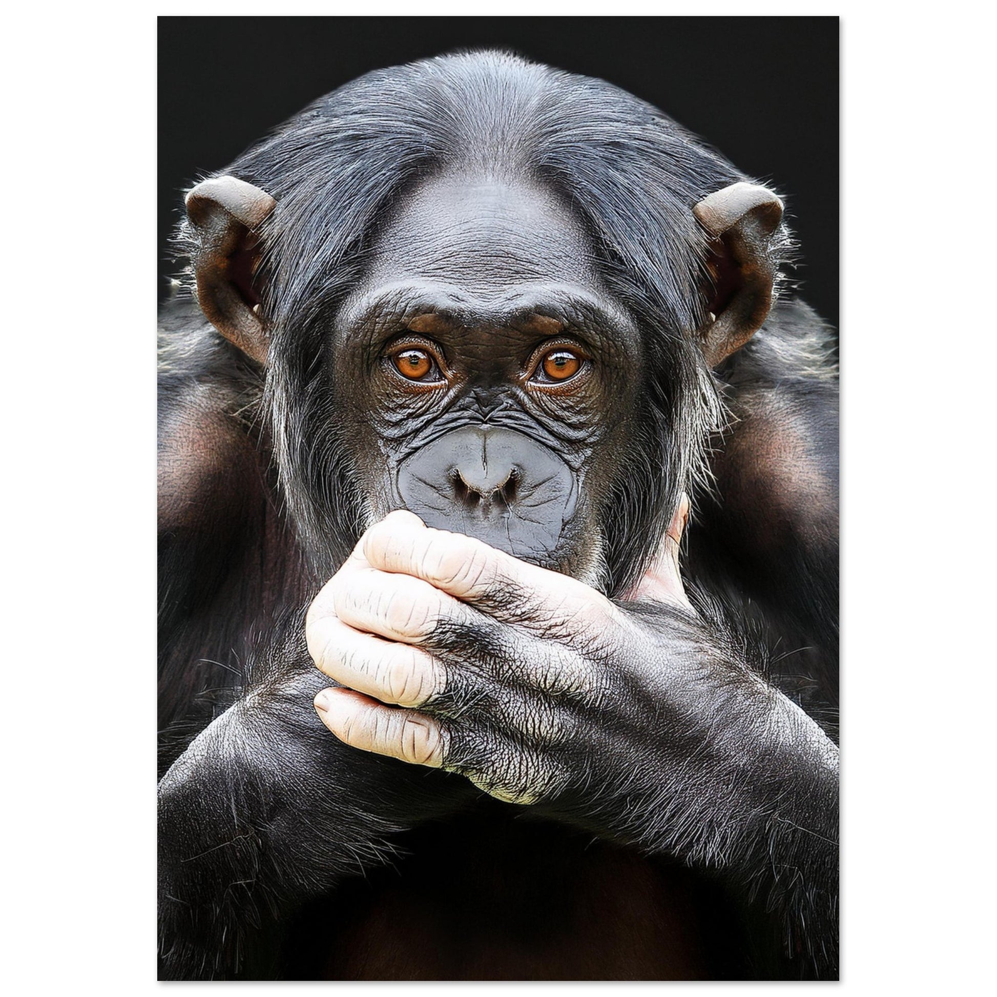 7f9581c7-0d43-44a2-b87b-34c73909acd9