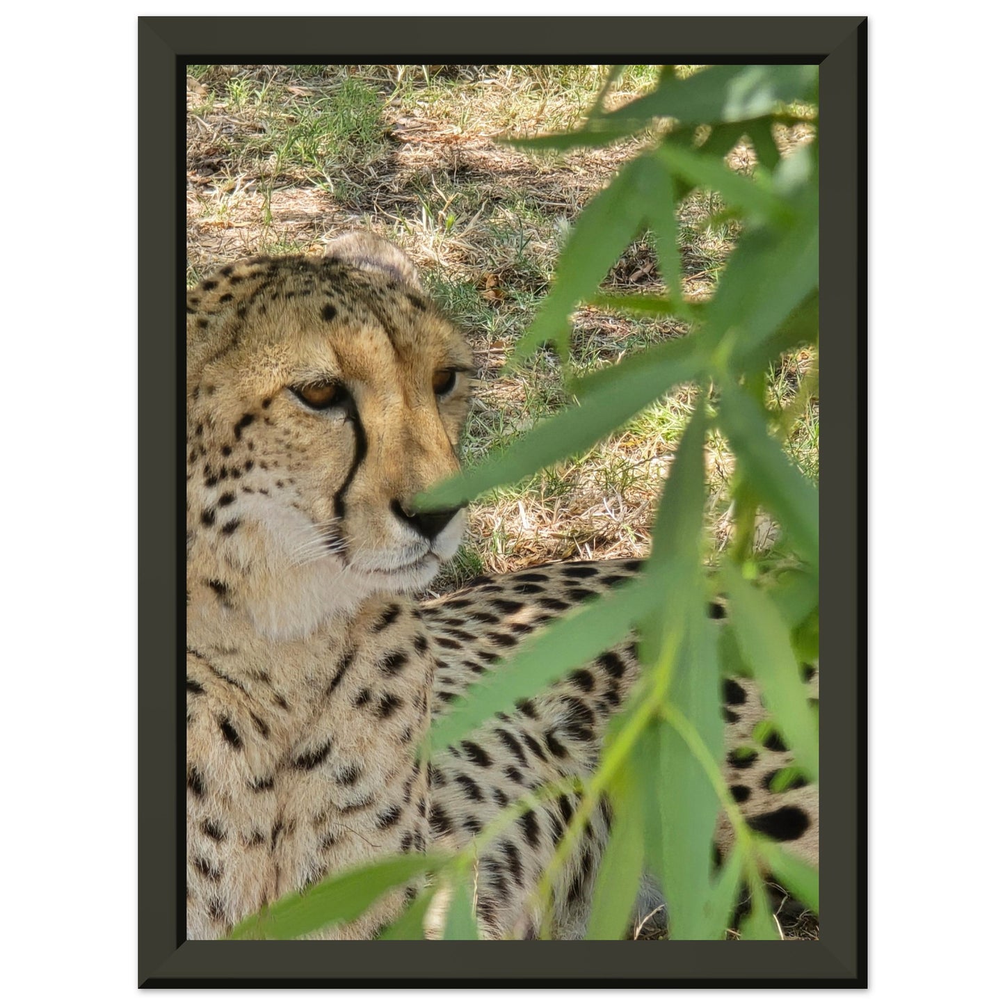 8745c98d-76ac-4558-bc81-5624c23d1fe8