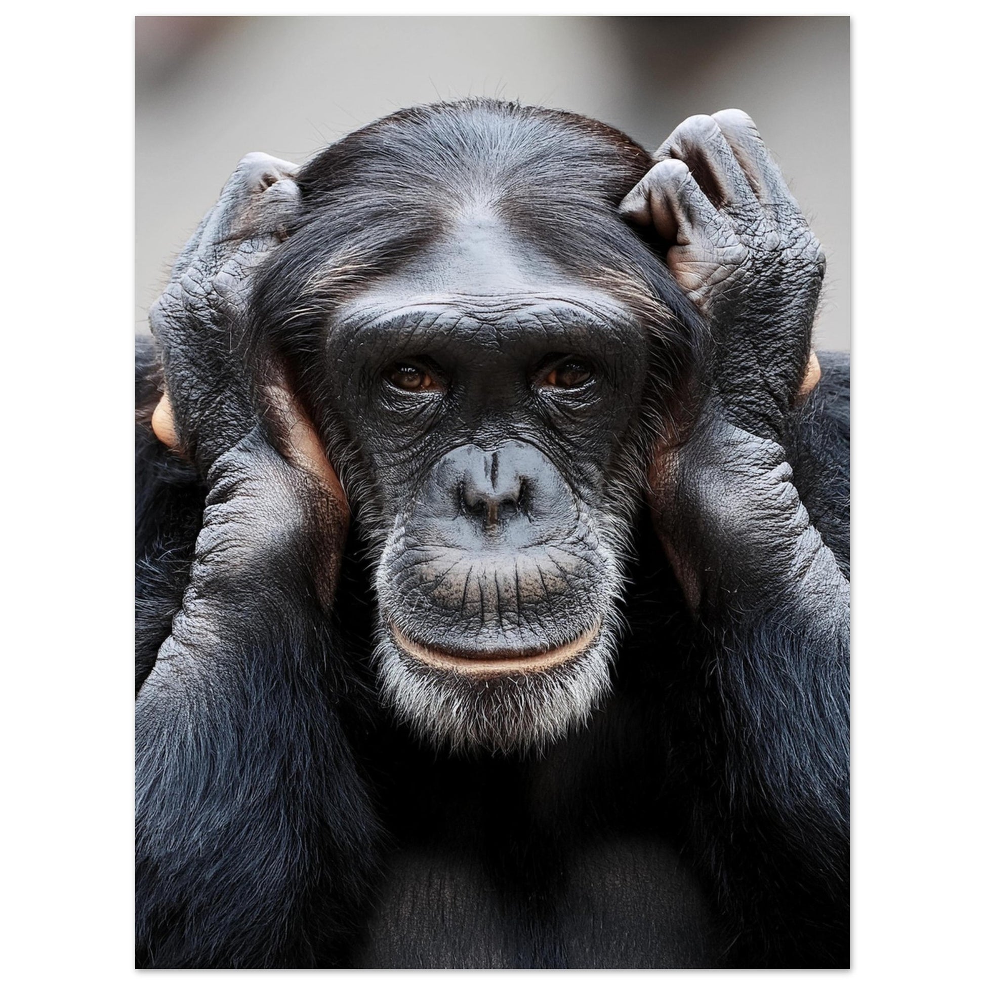 898fc16f-0518-44db-bbb0-db54f4057fb1