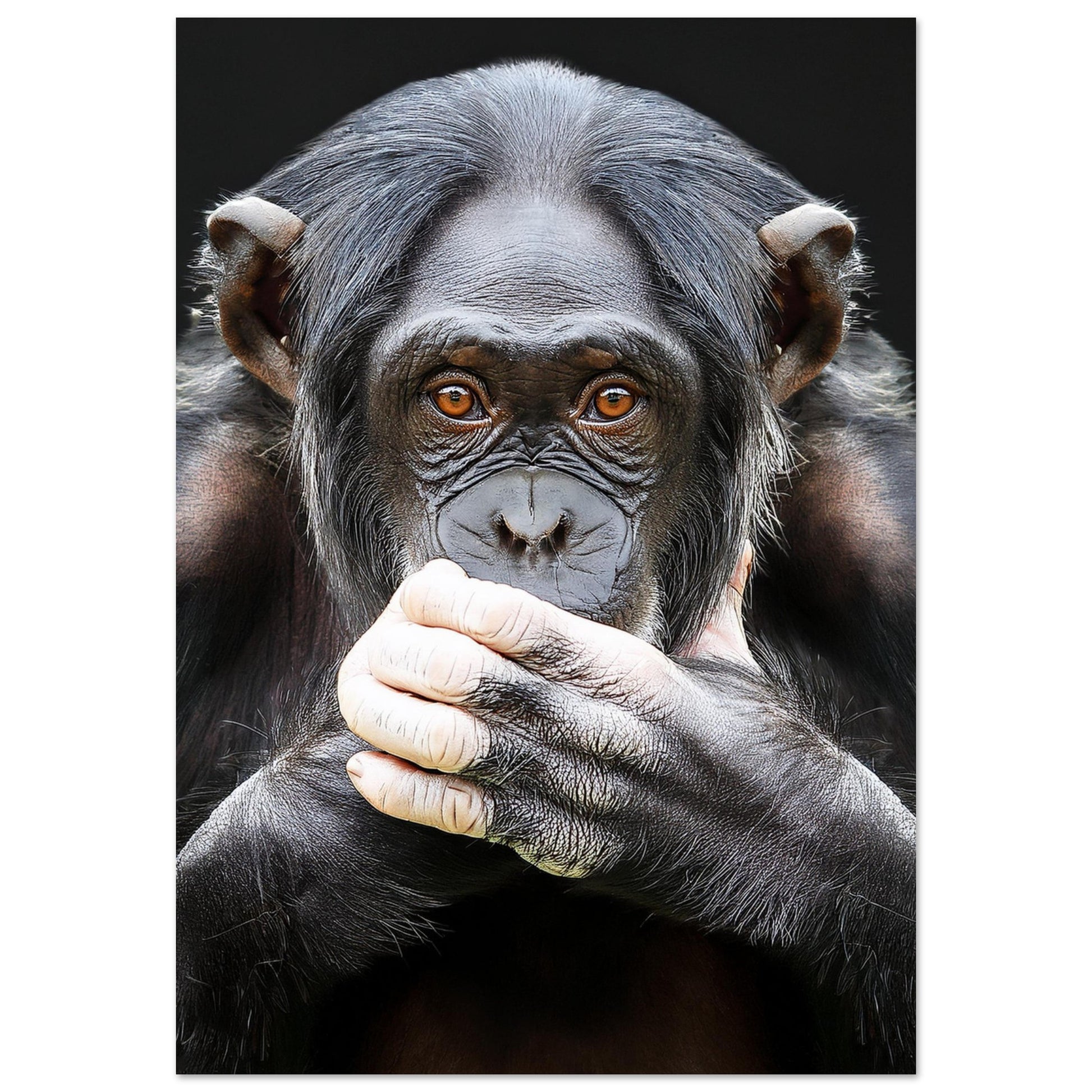 8f035586-49d3-4f20-81fa-f50ad5804697