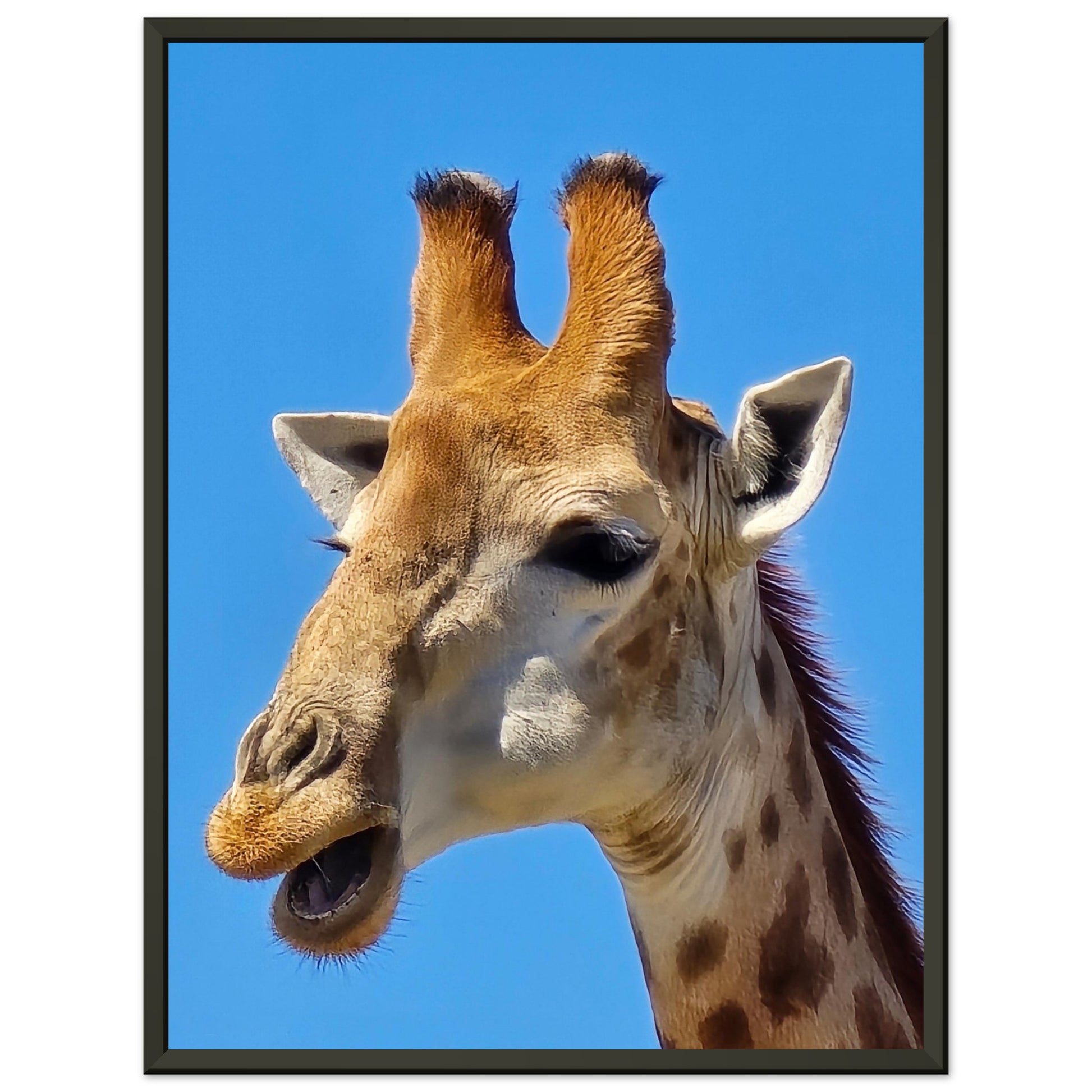 9d6cd495-23cb-44d9-bd42-2641ccc8ce62