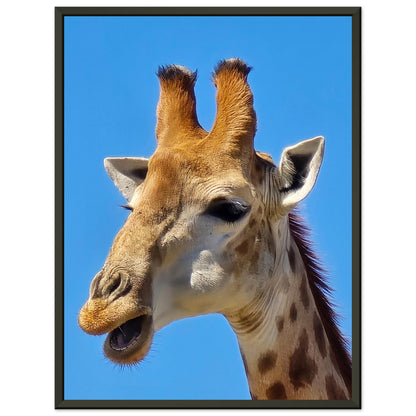 9d6cd495-23cb-44d9-bd42-2641ccc8ce62