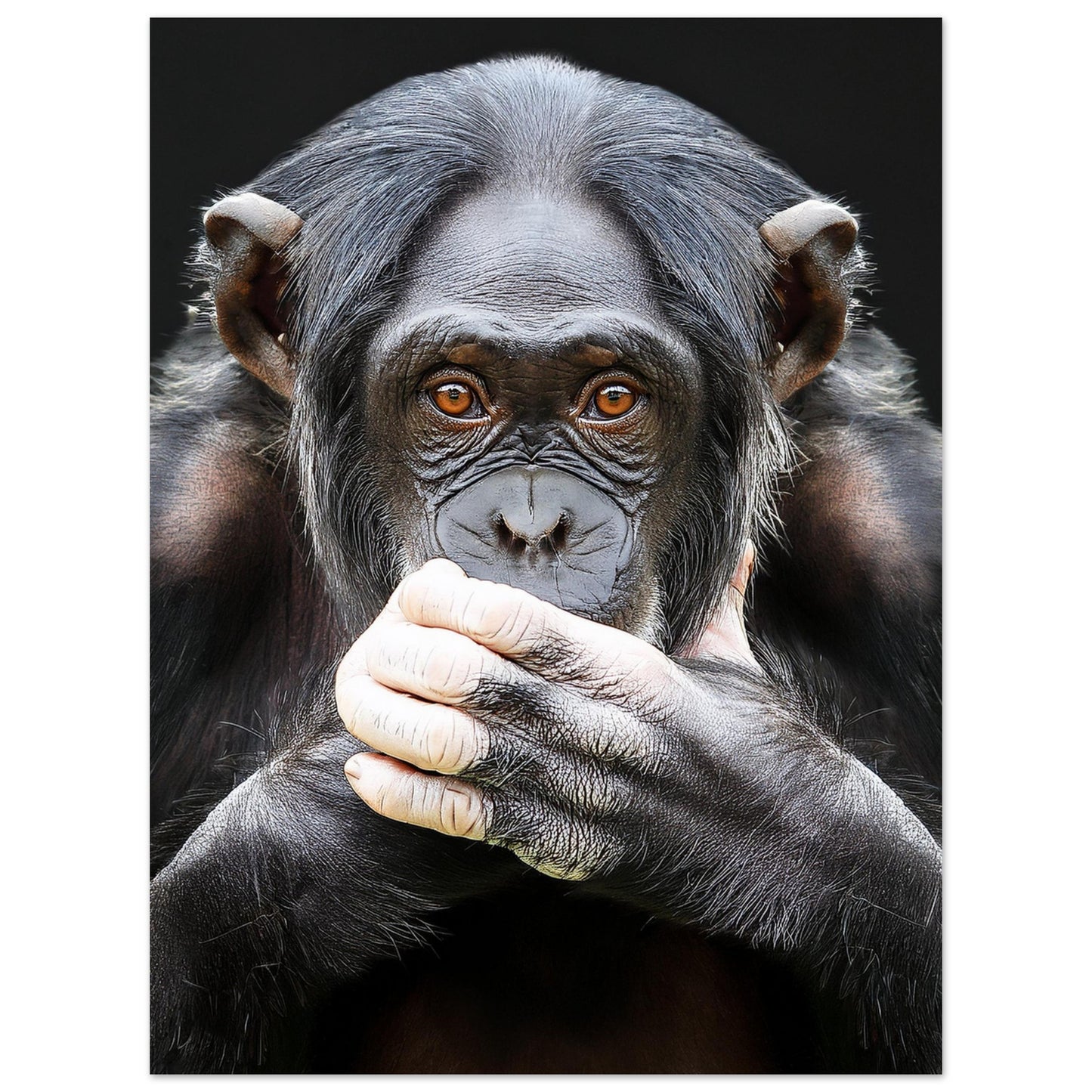 9f4ad588-21e4-4e25-bda6-643ee32f89d3