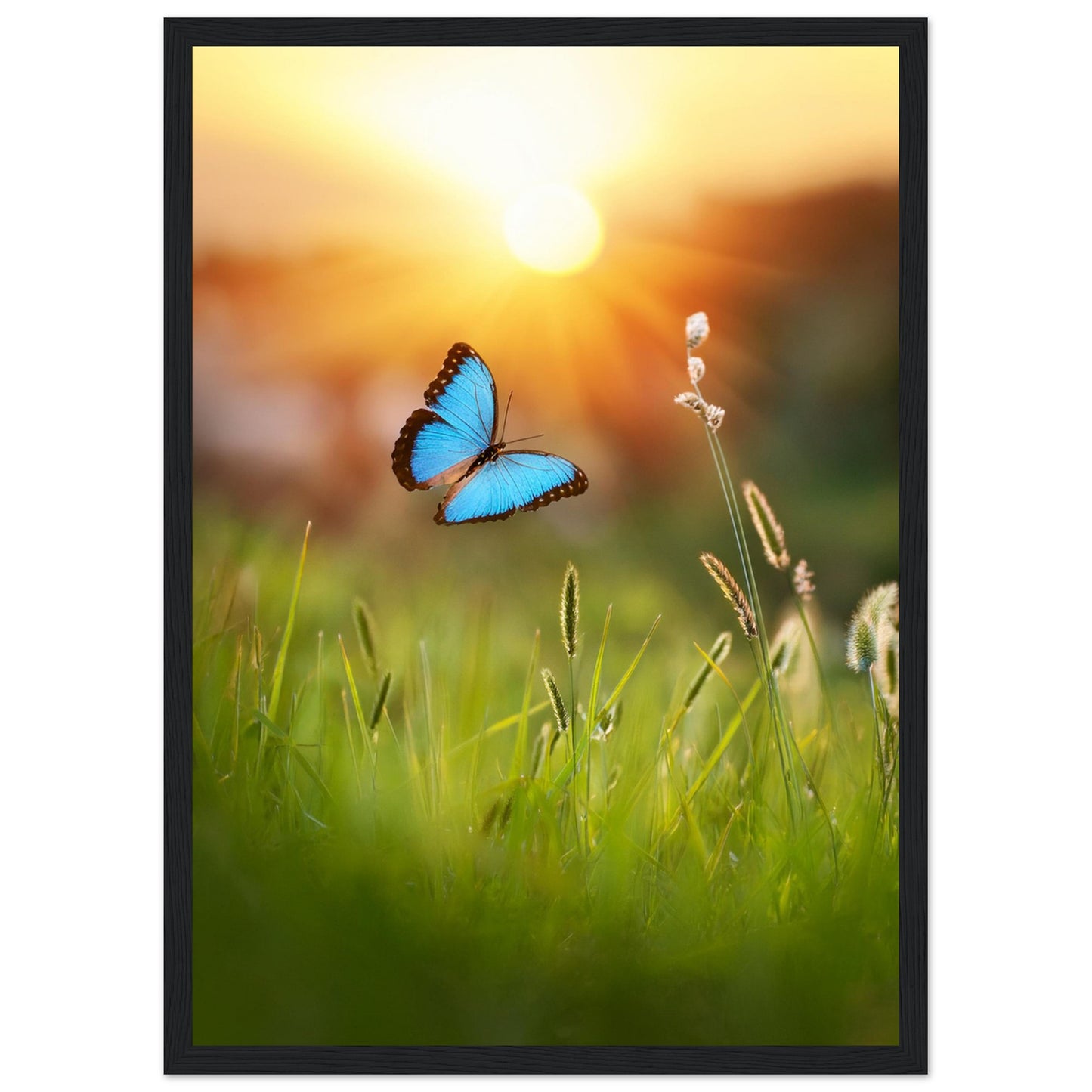 a1346f10-4e62-44f5-b536-c56be06f0d14