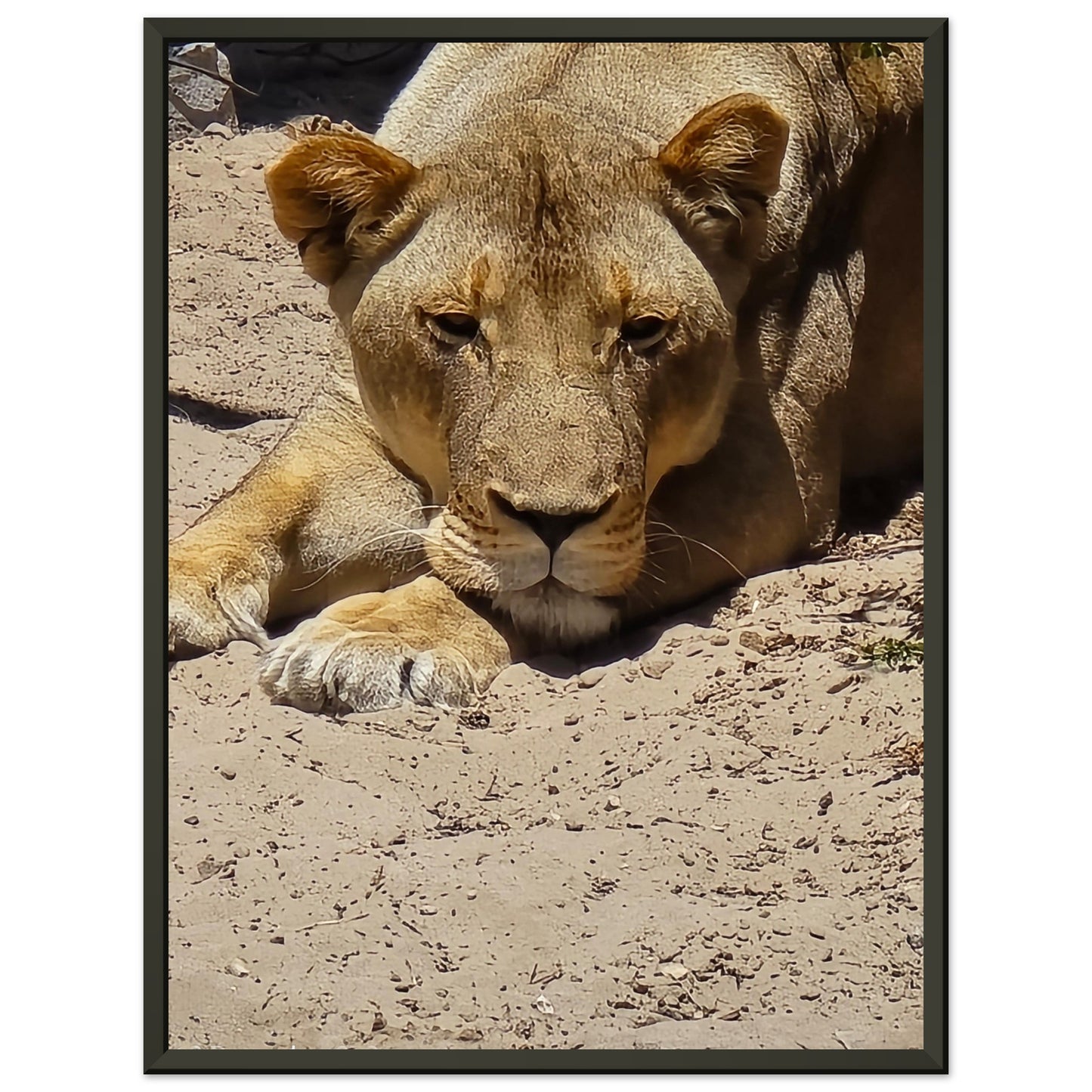 a495c607-72be-433b-99d9-a23228d42a0a