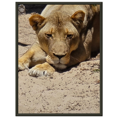 a495c607-72be-433b-99d9-a23228d42a0a