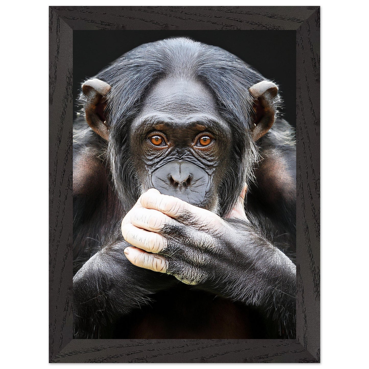 b7fa67c4-7778-4ac2-b462-d2c979985f93