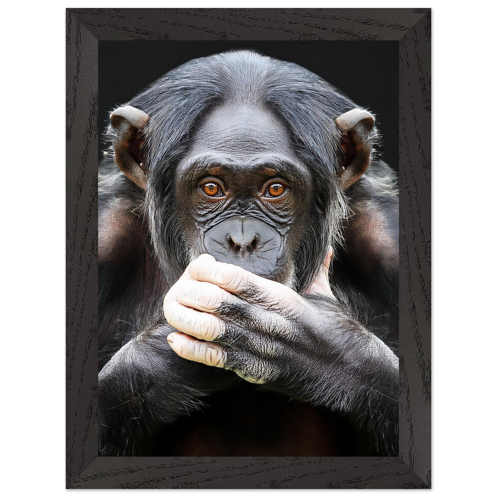 b7fa67c4-7778-4ac2-b462-d2c979985f93