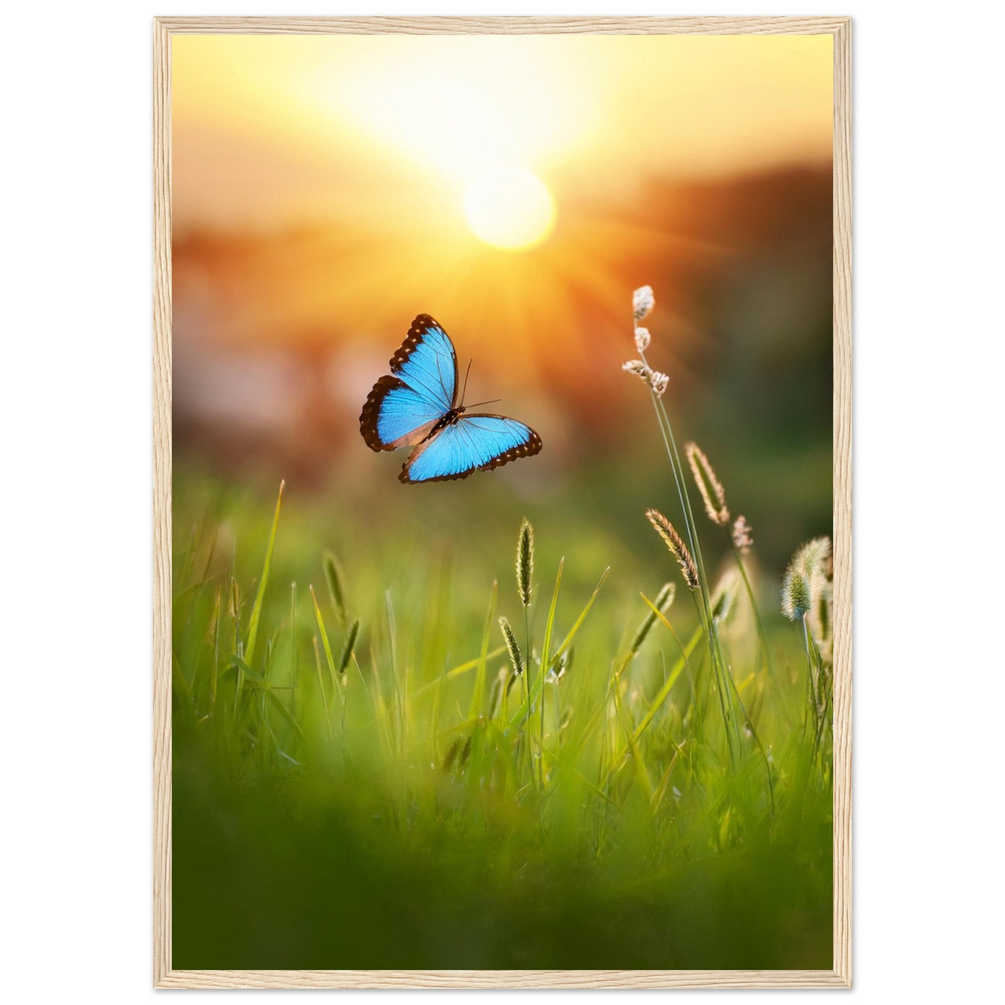 bf6ab859-0fa7-4e7b-9d6b-3b287b5b41de