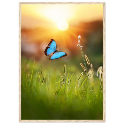 bf6ab859-0fa7-4e7b-9d6b-3b287b5b41de