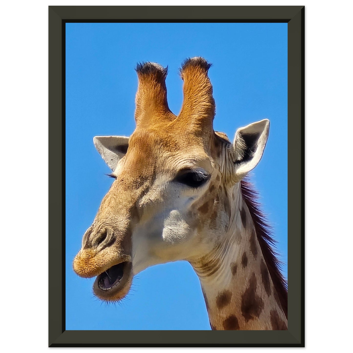 c7ea597f-72fd-4244-adec-a464576b09ef