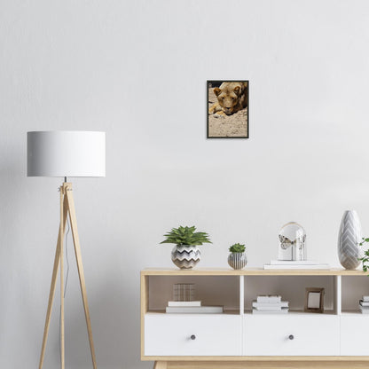 d62c2fcf-932a-48aa-bced-9cacd702cf01