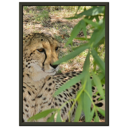 d9010a95-cd93-4735-9293-d942be52bc92