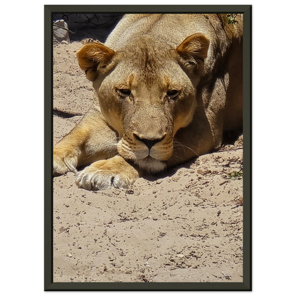 e56966cc-05fb-451f-a663-03b50dd2dbdc