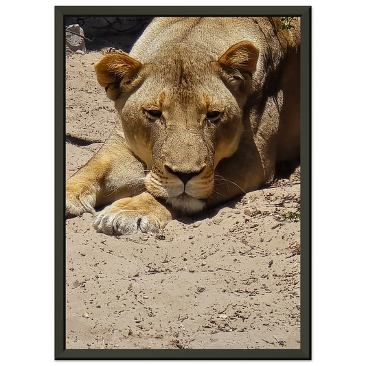 e56966cc-05fb-451f-a663-03b50dd2dbdc