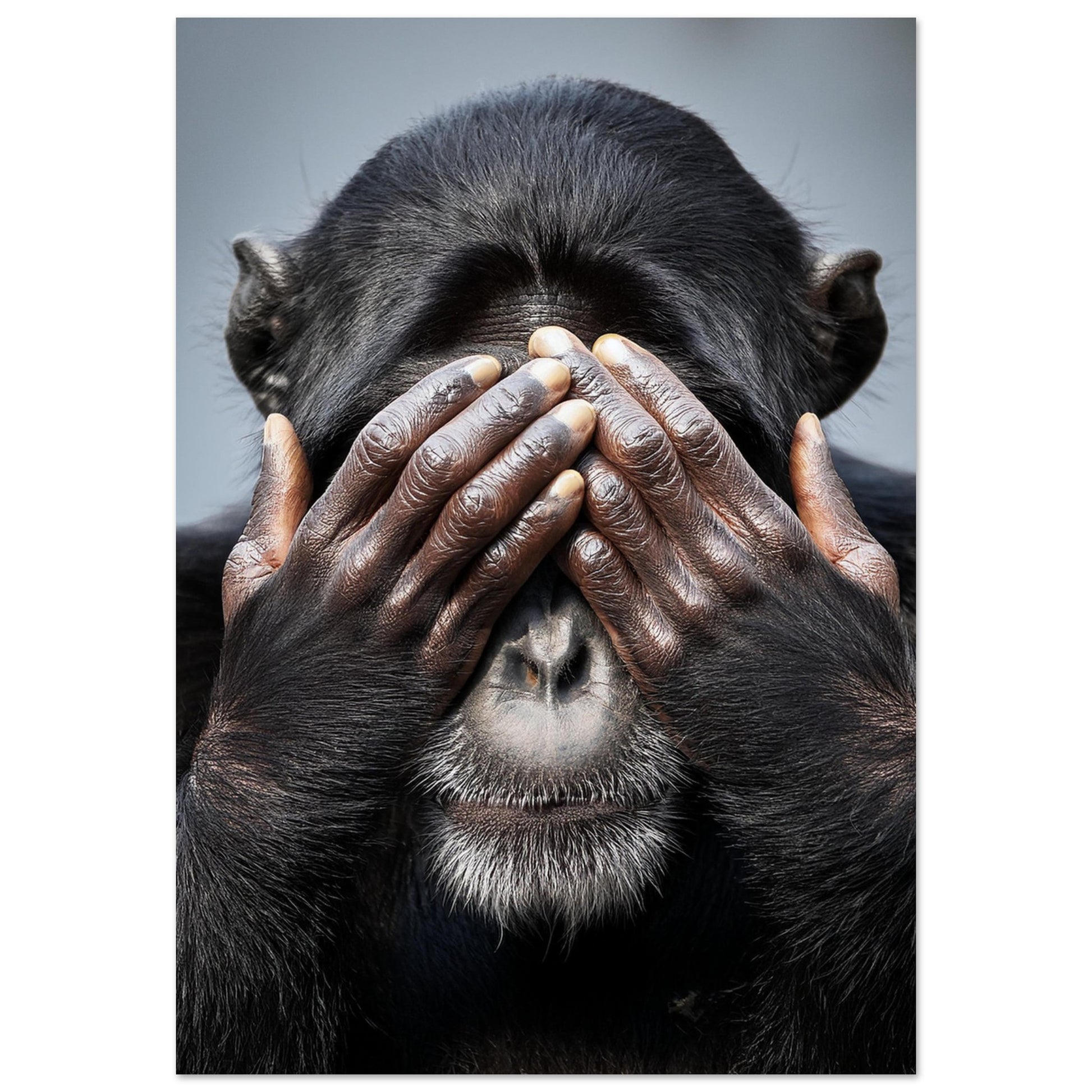 e849887d-55b7-4a90-8d9f-cc9f5298b733