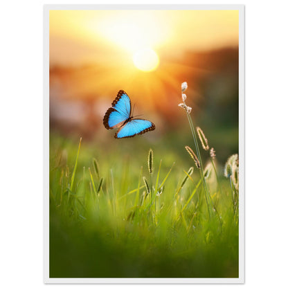 e9968241-dacb-4486-aa8b-0daf9147f949