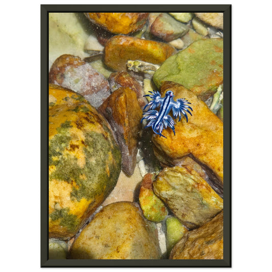 ebd1bb30-3eca-4cc7-a900-7d30c69eb949